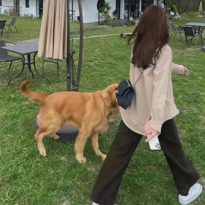 大坏狼